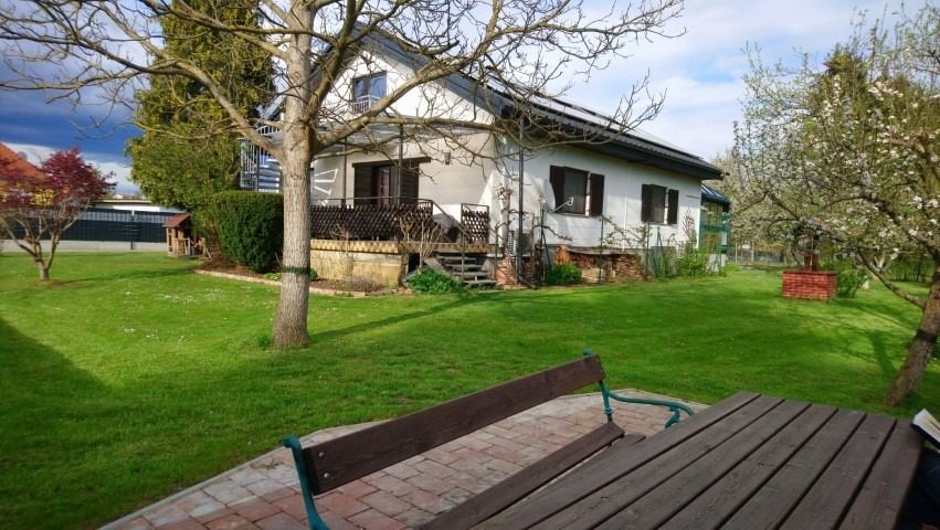 Gartenbereich mit Holzbank